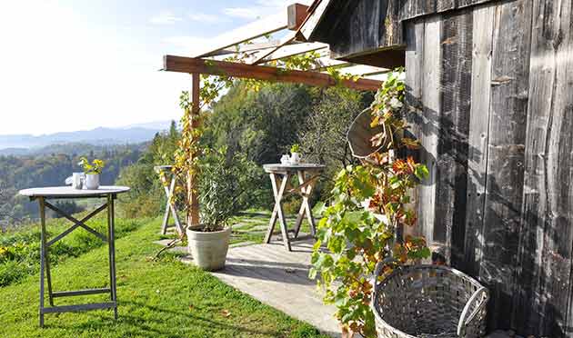 Marketing del gusto e la collaborazione tra imprese 1