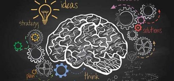 Neuromarketing, nuova frontiera della comunicazione pubblicitaria, cervello